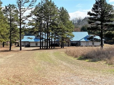 Lost Trails Ranch - 220 Acres of Ozark Adventure & Opportunity - photo 5