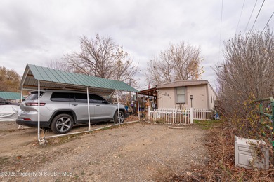 San Juan River Home For Sale in Bloomfield New Mexico