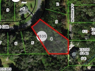 Lake Lot For Sale in Citrus Springs, Florida