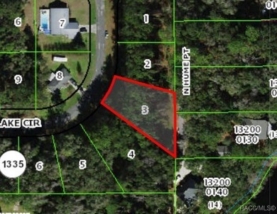 Lake Lot For Sale in Citrus Springs, Florida