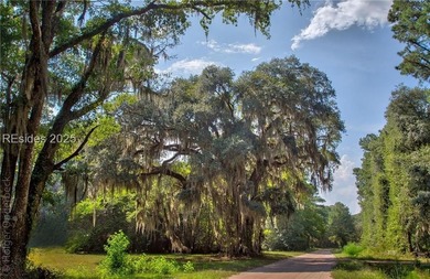 Discover the perfect canvas for your dream home on Daufuskie - photo 3