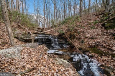 (private lake, pond, creek) Acreage For Sale in Jasper Georgia