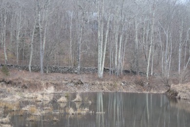 (private lake, pond, creek) Acreage For Sale in Halcott Center New York