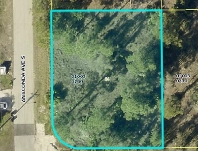 Lehigh Acres Area Lot For Sale in Other Florida
