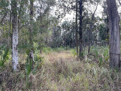Lake Lot For Sale in Homosassa, Florida