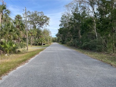 Build your Florida dream in the heart of Old Homosassa! This - photo 2
