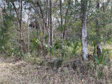 Build your Florida dream in the heart of Old Homosassa! This - photo 3
