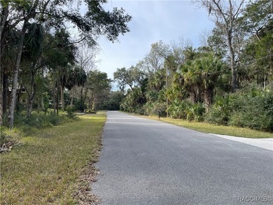 Build your Florida dream in the heart of Old Homosassa! This - photo 4