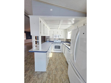 Blue Cypress Golf & RV Resort - Active 55+ Community! Enjoy - photo 8