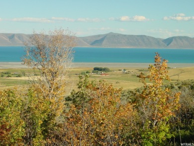 Bear Lake Acreage For Sale in Saint Charles Idaho