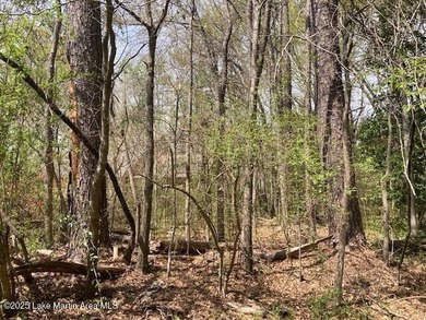 (private lake, pond, coastal) Acreage For Sale in Alexander City Alabama