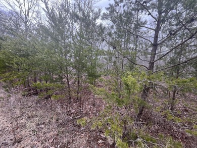 (private lake, pond, creek) Lot For Sale in Pikeville Tennessee