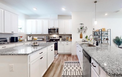 (private lake, pond, creek) Home For Sale in Palm Coast Florida