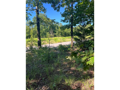 (private lake, pond, creek) Lot For Sale in Red Oak Oklahoma