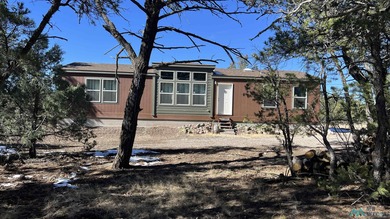 Quemado Lake Home For Sale in Quemado New Mexico