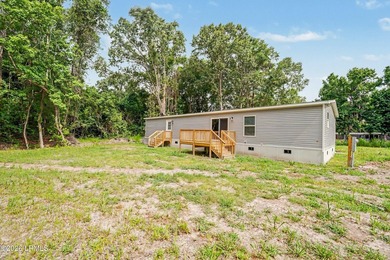 BRAND NEW mobile home with .5 acres! This spacious 4-bedroom - photo 38