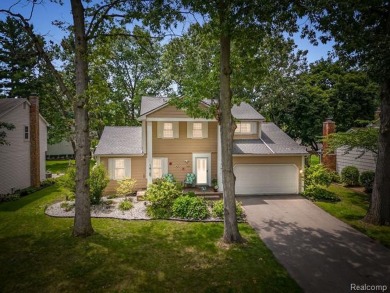 Twin Sun Lake Home For Sale in Wixom Michigan