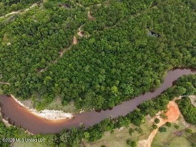 RIVERFRONT LAND! Rare opportunity to own 14+/- acres of fully - photo 4