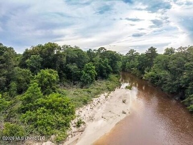 RIVERFRONT LAND! Rare opportunity to own 14+/- acres of fully - photo 5
