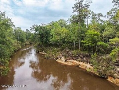RIVERFRONT LAND! Rare opportunity to own 14+/- acres of fully - photo 8