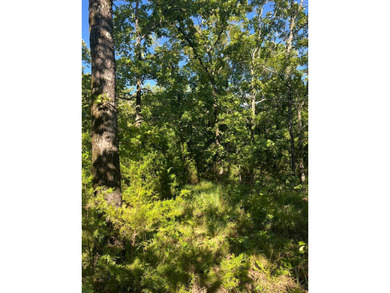 (private lake, pond, creek) Lot For Sale in Red Oak Oklahoma