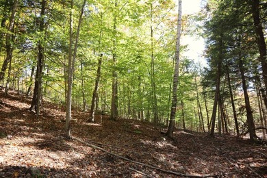 Set up camp or build your Adirondack escape on this beautiful - photo 11