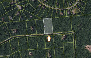 Westcolong Lake Lot For Sale in Lackawaxen Pennsylvania