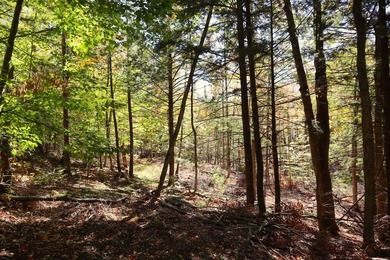 Set up camp or build your Adirondack escape on this beautiful - photo 12