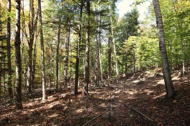 Set up camp or build your Adirondack escape on this beautiful - photo 13