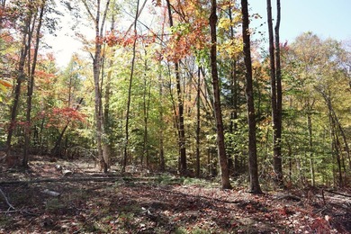 Set up camp or build your Adirondack escape on this beautiful - photo 16
