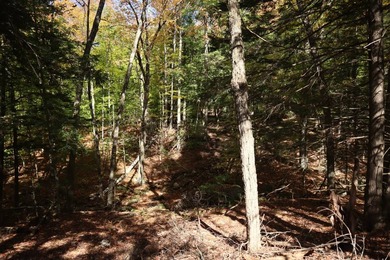 Set up camp or build your Adirondack escape on this beautiful - photo 17