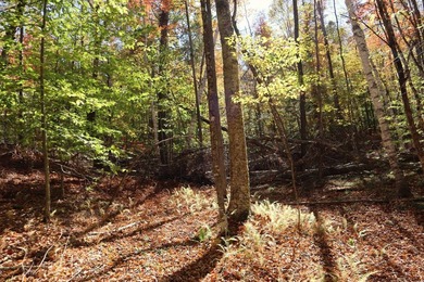 Set up camp or build your Adirondack escape on this beautiful - photo 19