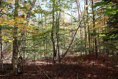 Set up camp or build your Adirondack escape on this beautiful - photo 21