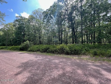 Westcolong Lake Acreage Sale Pending in Lackawaxen Pennsylvania
