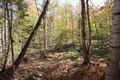 Set up camp or build your Adirondack escape on this beautiful - photo 22