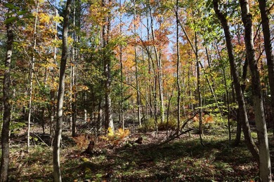 Set up camp or build your Adirondack escape on this beautiful - photo 23