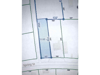 High visibility location on Spring St/Hwy 49, 0.64 acre lot - photo 30
