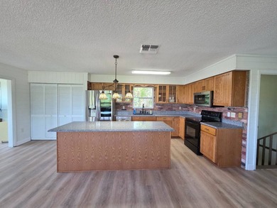 LAKEPORT - WATERFRONT ON BOTH SIDES! Discover this stunning and - photo 33