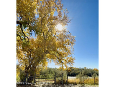 Lake Acreage For Sale in Blanco, New Mexico