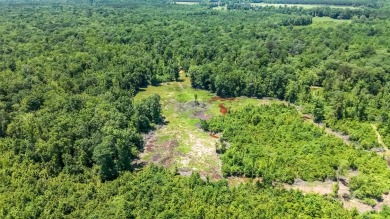 (private lake, pond, creek) Acreage For Sale in Steens Mississippi