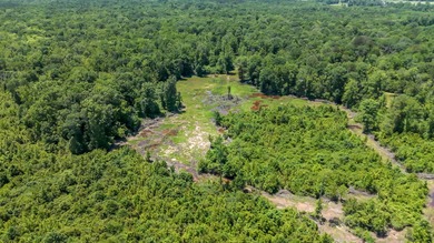 Welcome to an extraordinary 1,297+/- acre retreat in Steens, MS - photo 2