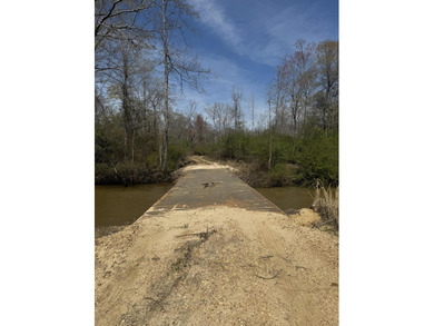 Welcome to an extraordinary 1,297+/- acre retreat in Steens, MS - photo 4