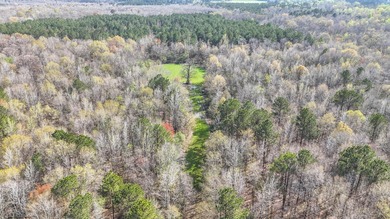 Welcome to an extraordinary 1,297+/- acre retreat in Steens, MS - photo 10