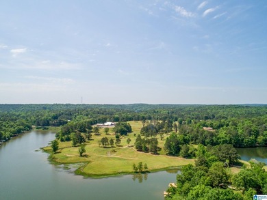 BACK ON MARKET-- HURRY!! Experience lake living at its finest - photo 9