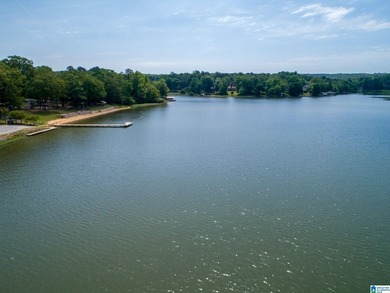 BACK ON MARKET-- HURRY!! Experience lake living at its finest - photo 10
