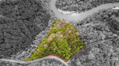 Lake Acreage For Sale in Valley, Alabama