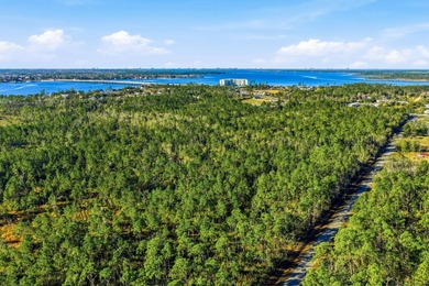The Sanctuary is a 241-acre master planned residential community - photo 19