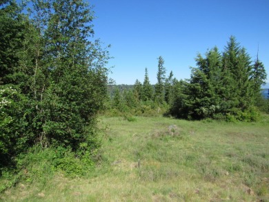 Lake Lot For Sale in Harrison, Idaho