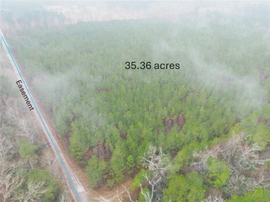 Lake Acreage For Sale in Lufkin, Texas