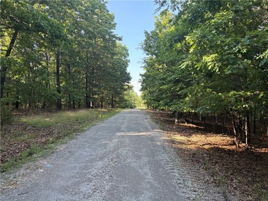Rare Opportunity - 6.55 Acres in Webbs Landing Subdivision - photo 2
